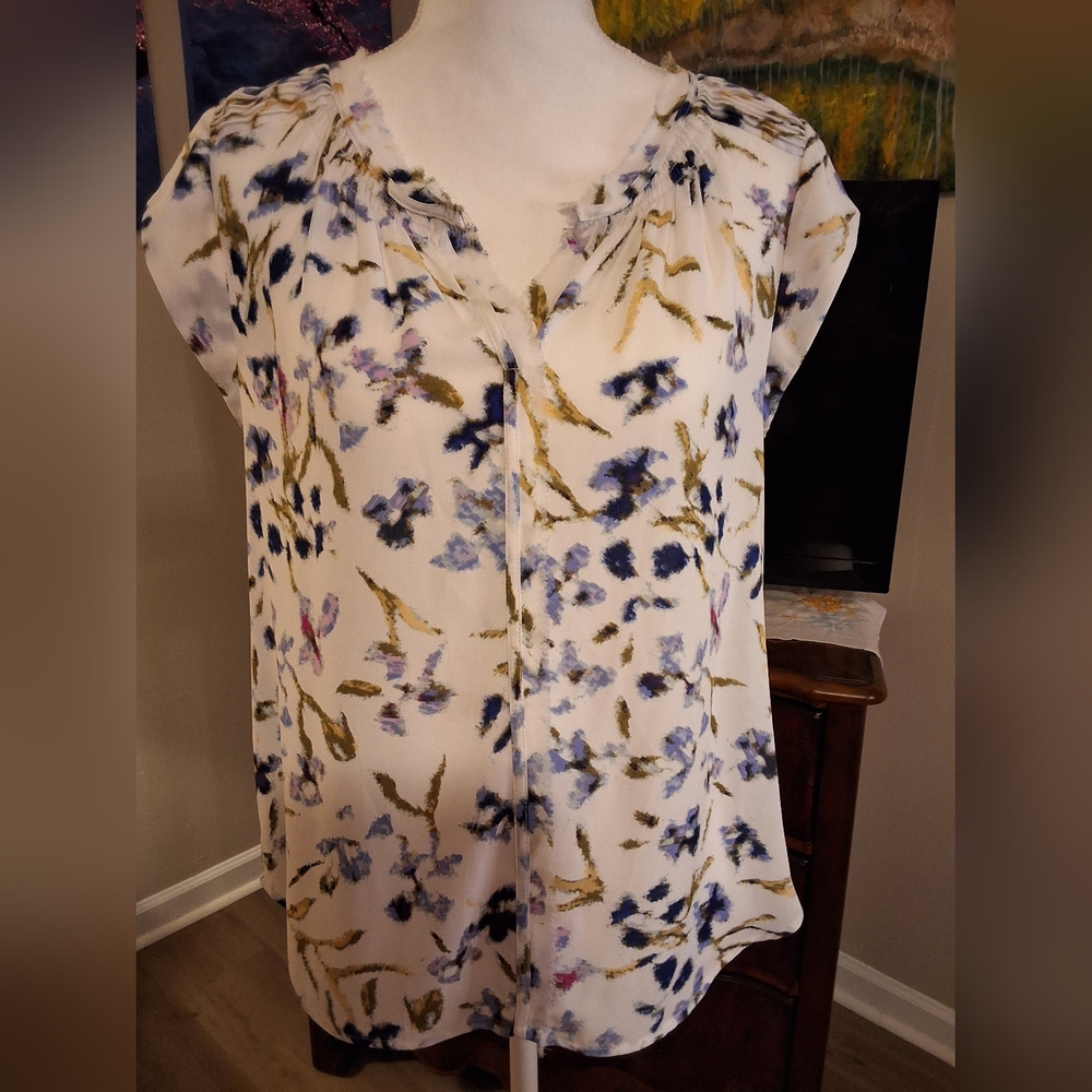 Daniel Rainn Floral Blouse in Cream with Blue and Gold Accents